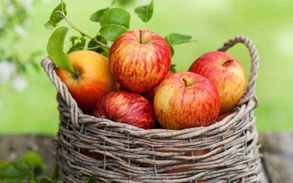 Одно яблоко в день увеличивает продолжительность жизни на треть