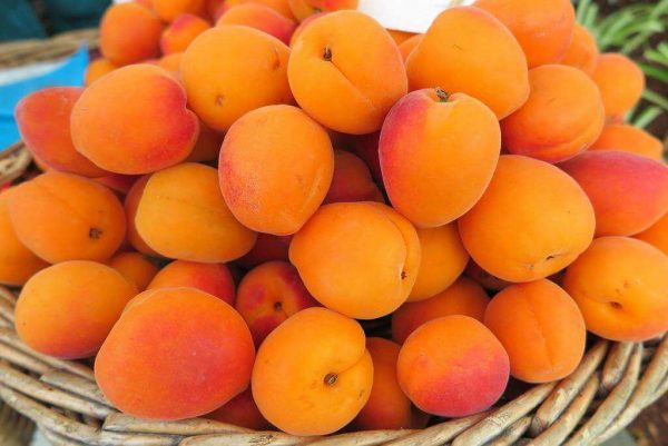 Поедание абрикосовых косточек может привести к летальному исходу